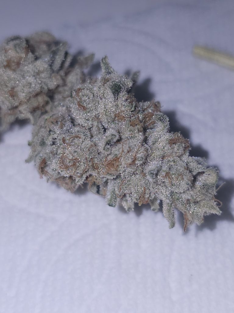 Strawberry Junky cultivar