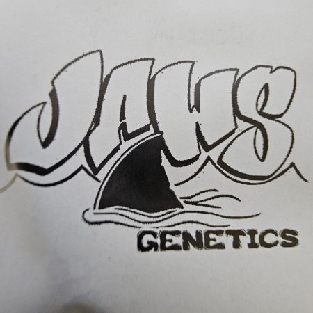 JAWS fundraiser: Sister Love