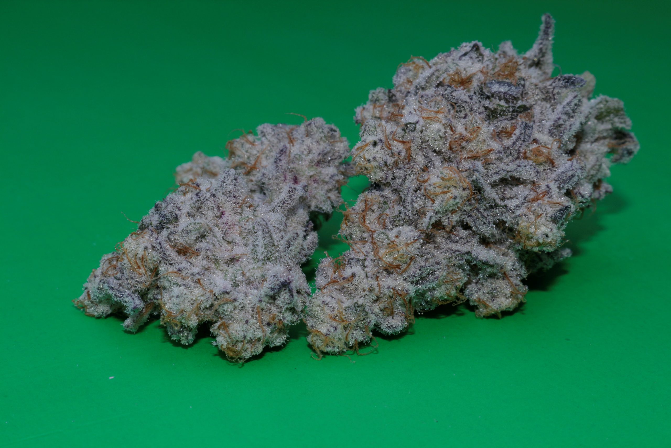 MAC (Original Seeds) - Image 2