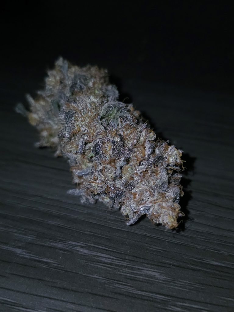 F3Z cultivar