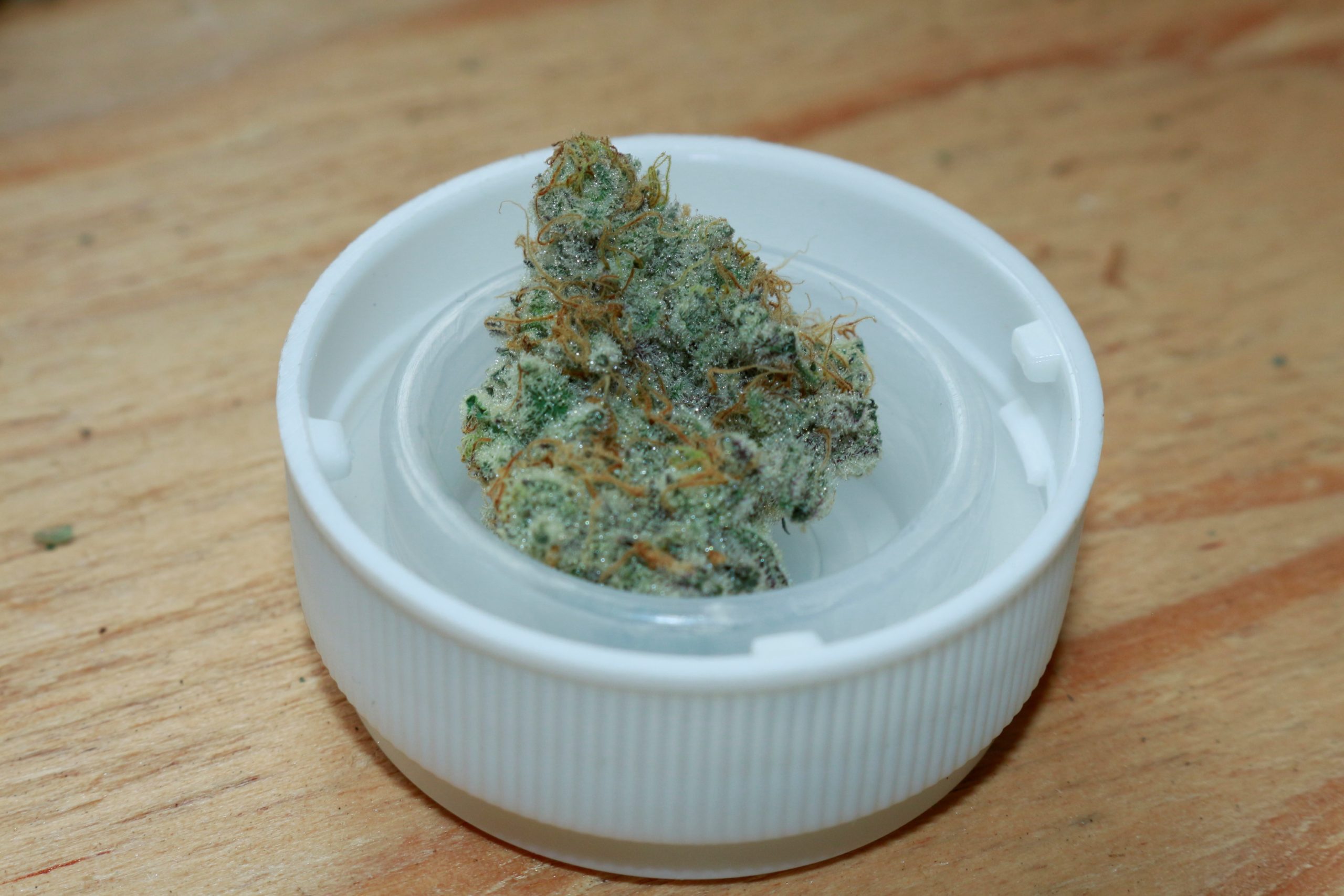 Alien Cookies #7 F2 (Mother of MAC) S1. - Image 2