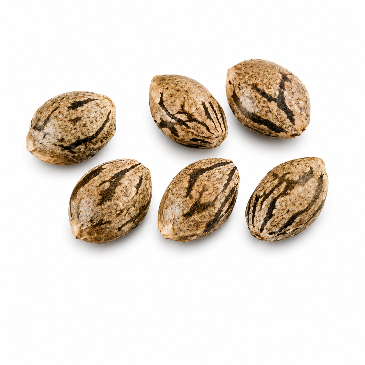 Cap Junky S1 (6 beans) - Image 3