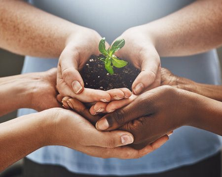 2026 Preservation for Founders